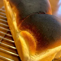 焦げパン🍞になってもうたぁ|masaさん