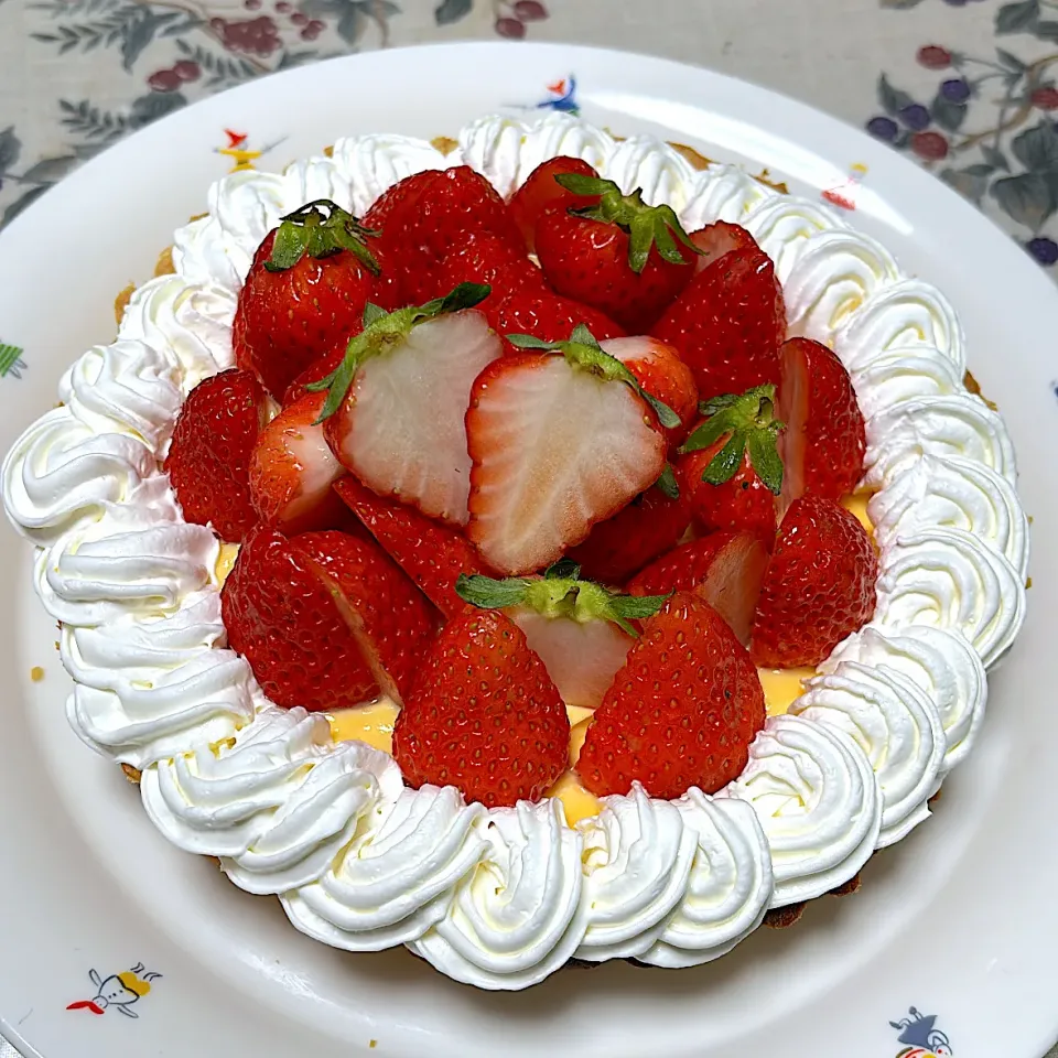 いちごのタルト🍓|ここさん