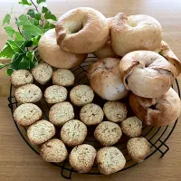 ＊ＧＷベーグル作り🥯＊|＊抹茶＊さん