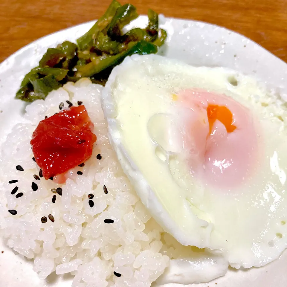 アルモンデ💓プレート🍳|まいりさん