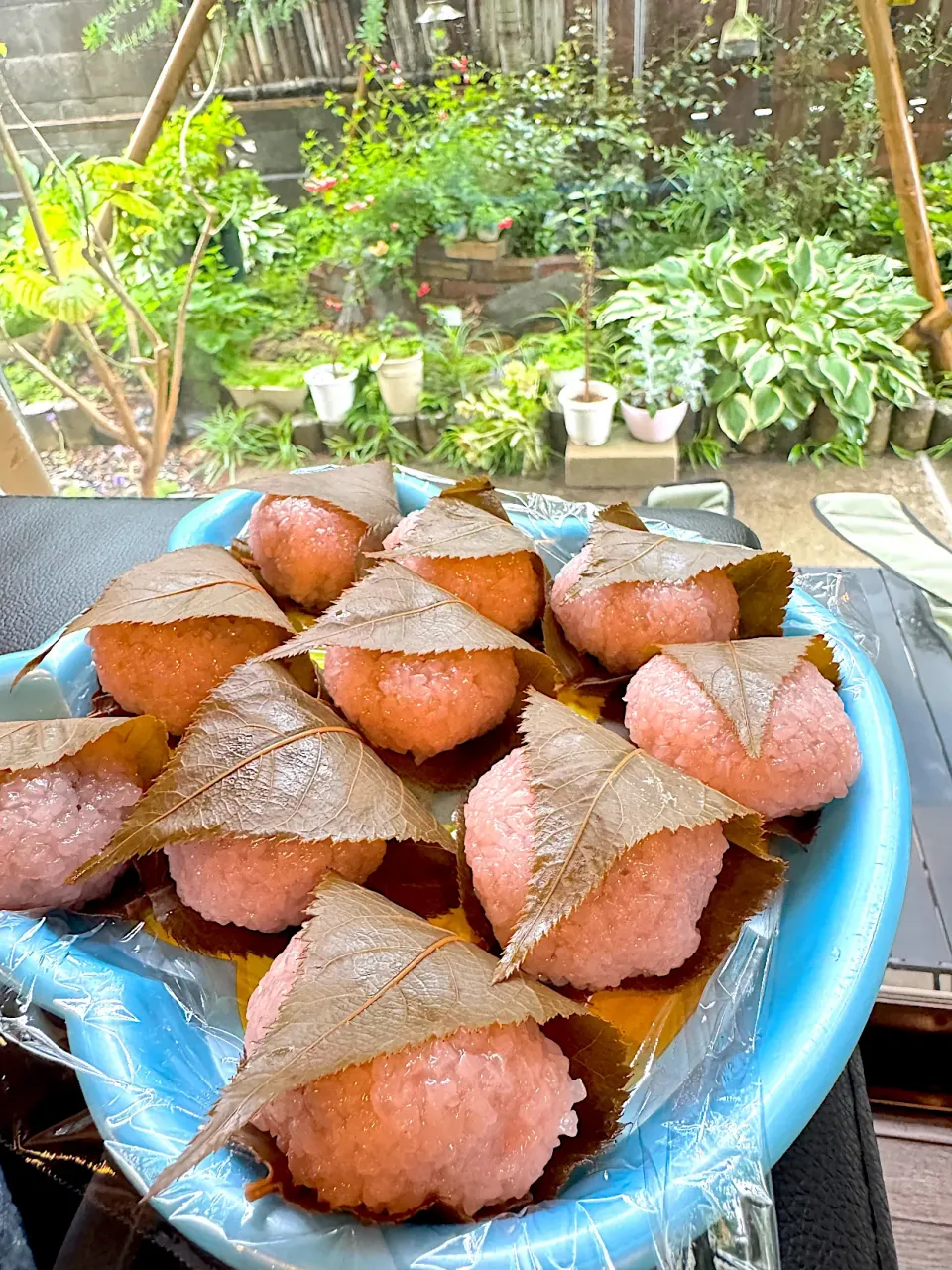 桜餅🌸|ゆき茶❁⃘*.ﾟさん