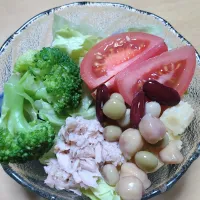 サラダ|しまだ ちえこさん