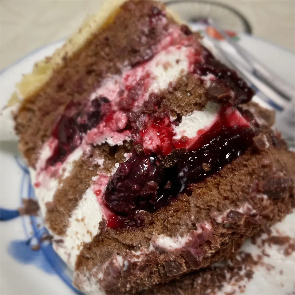 黒い森|あーるさん