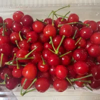初さくらんぼ🍒|にゃふてんさん
