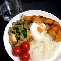 20:24 麻婆丼4日目|へれ子さん