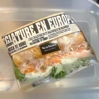 |Chihiro Hazukiさん