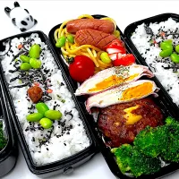 今日のお弁当🍱🍱です|パンダ🐼🐼パンダさん