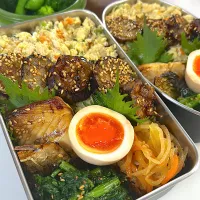 ロウカット黑米玄米炒り豆腐丼　茄子照り焼き🍆味玉　鯖の塩焼き　春菊胡麻和え　煮なます　ブロッコリー🥦スナップエンドウ🫛| まゆさん
