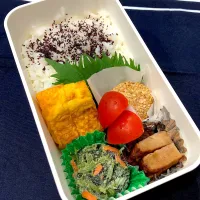 ゆかりご飯、たまご焼き、炭焼きハンバーグ、ほうれん草のごま和え、ミディトマト、胡麻団子|きらきらさん