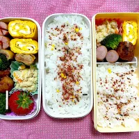 今日のお弁当|⬜︎さん