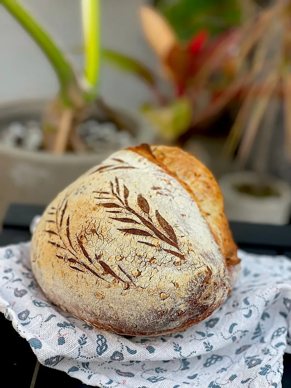 Honey sesame whole wheat sourdough |12Dragonさん