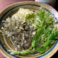 ユキノシタとタラの芽の天ぷらwithマヨルカ島の塩| 9421beruさん