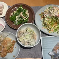 水曜日の居酒屋| ビューリップさん