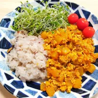 2025 0506　鶏ひき肉と大根の和風ドライカレー　サラダ|いもこ。さん