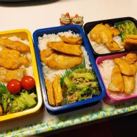 夫弁当､息子弁当､娘弁当､私弁当|みどりさん
