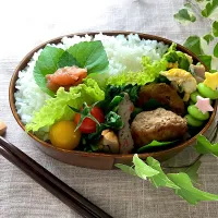 ＊0021.春大根の和風ハンバーグ🌿娘ちゃんの高校生弁当🍱＊|＊抹茶＊さん