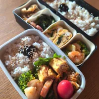 海老とブロッコリー炒め弁当|まきごろうさん