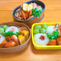 お茶摘み弁当|さやかさん