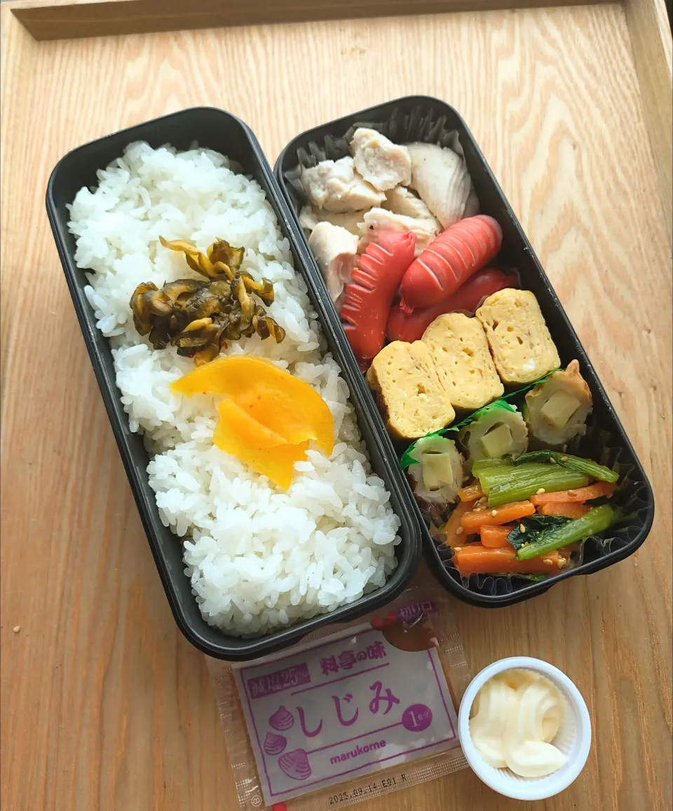 ささみの塩麹蒸し弁当|みわさん