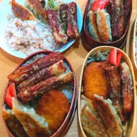 餃子&ちくわの磯辺揚げ弁当|NOZUさん