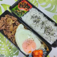 今日は、奮発して牛丼お弁当です✨