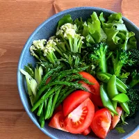 野菜サラダ|おさかなさん