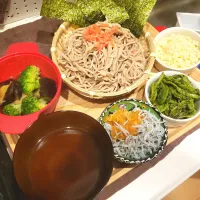 こごみとシラスおろしのざる蕎麦| もりぞうさん