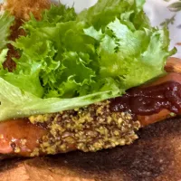 5/8の通院前ランチ　食パンでホットドッグ😋|🐧ペンギン2さん