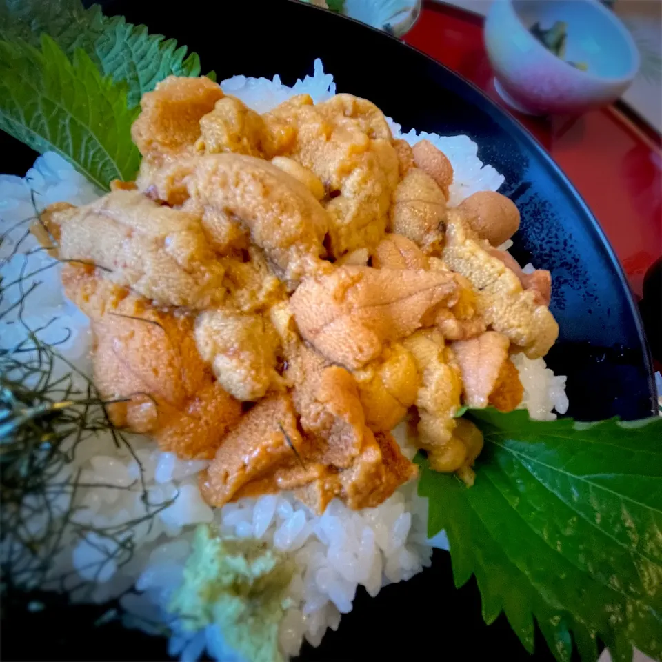うに丼|stalinさん