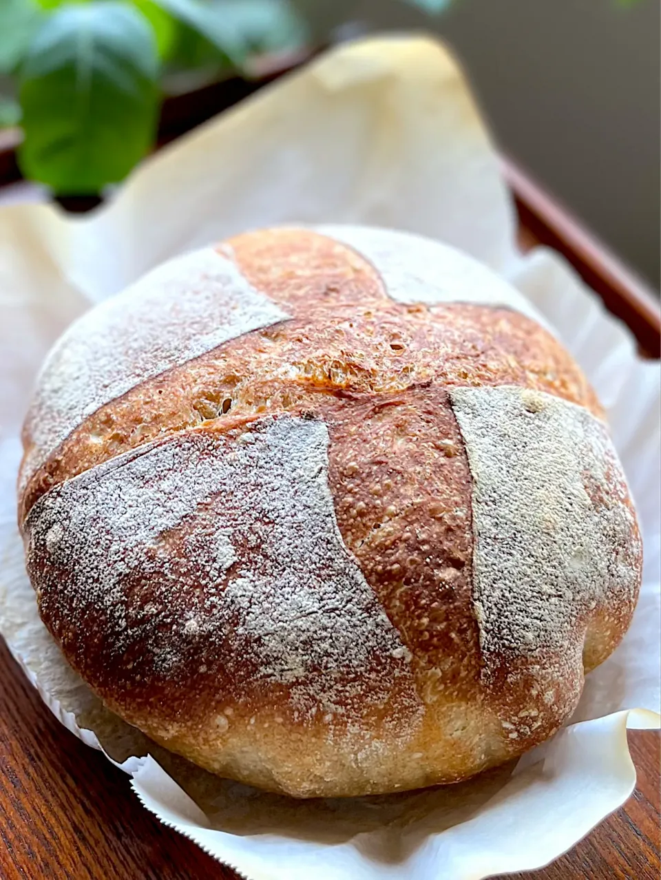カンパーニュ🇫🇷 Pain de campagne|アッコちゃん✨さん