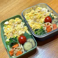 今日のお弁当|はるゆいさん