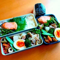次男・私弁当&おにぎり| tamagomagomagoさん