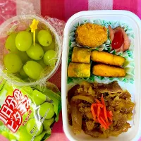2025.5.9 今日のお弁当🍱|りよさん
