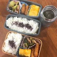 2025.5.9 高3息子.旦那弁当|こうれい母さん
