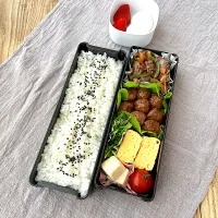 チャプチェ＆ミートボール弁当🍱|nonoさん