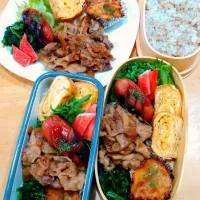 豚肉の焼肉弁当|NOZUさん