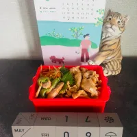 20250509🍱今日の自分弁当🍱|akiyo22さん