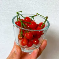 かわいいさくらんぼ| ななみんさん
