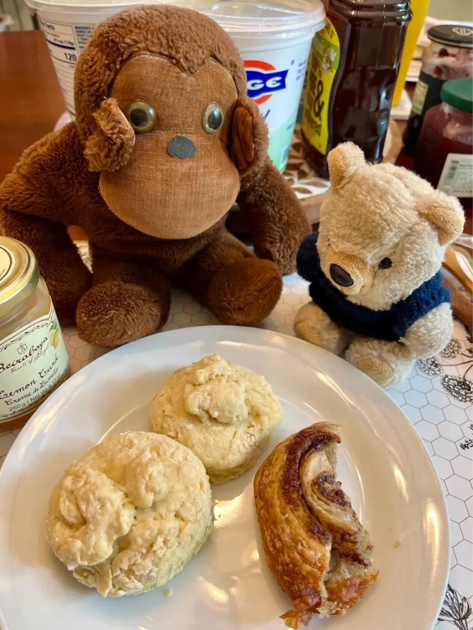 2025/5/9 米国南部風ビスケット（シナモンロールの切れ端添え）Southern Biscuits (with the Side of Cinnamon Roll)|19 Boys & 野鳥さん