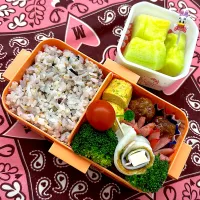 2025 5月10日　娘ちゃん登校日弁当|あけみさん