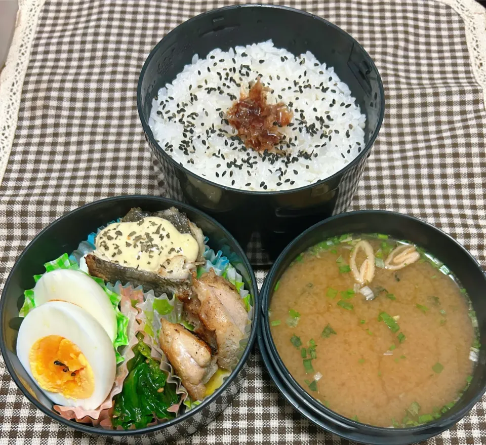 今日のお弁当 2025.5.10(Sat)|*seiko*さん
