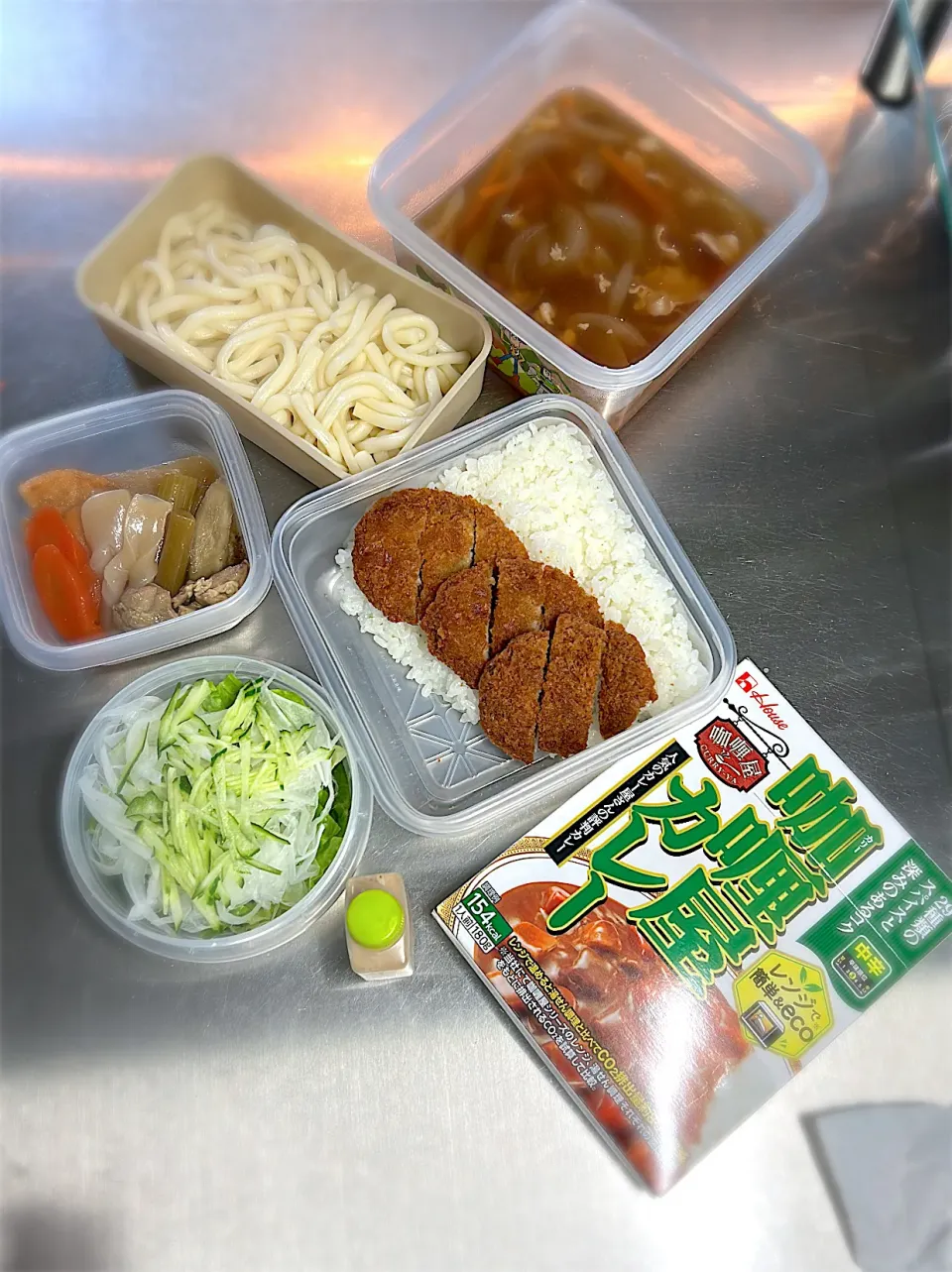 R7.5/10  𝑆𝑢𝑛.  ·͜·♡肉うどん&ヒレカツcurry👨🏻‍🍳|hamakoさん