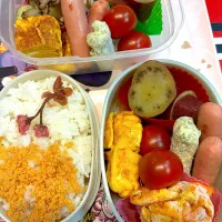 2025/5/9娘と私の弁当|なかみほさん