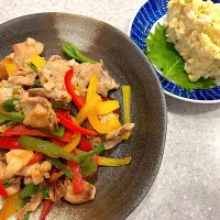 相方さんの夕飯|ATSUMIさん