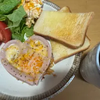 ハートフルモーニング| ハルのただ飯さん