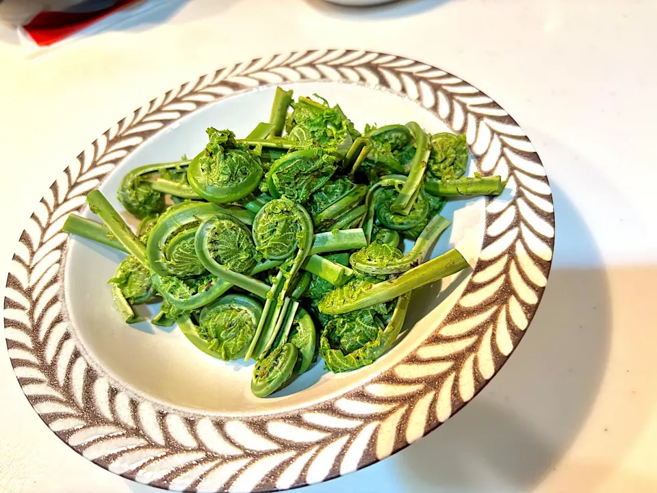 こごみ🩷|naoさん