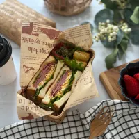 Sandwich bento Box 🥪|AKUBI*:ஐ(●˘͈ ᵕ˘͈)さん