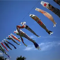 鯉のぼり🎏下総利根宝船公園|友紀さん