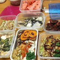 自宅で留守番の主人用に 料理を詰めた物（3日分）|🐈⸒⸒⸒⸒つるのダンス🐈🐾さん