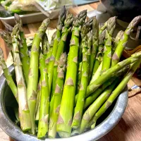初物　実家のアスパラいただきました　ジンギスカンに入れて早速いただきます|renharuruさん